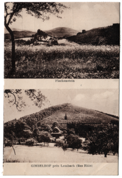 image-1