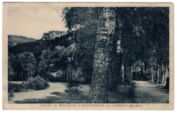 image-1